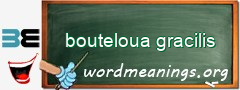 WordMeaning blackboard for bouteloua gracilis